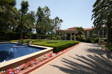 Enlarge photo 62