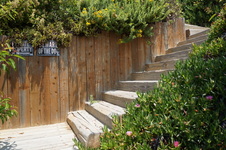 Enlarge photo 18