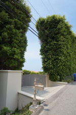 Enlarge photo 47
