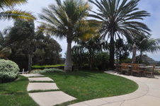 Enlarge photo 49