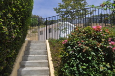 Enlarge photo 53