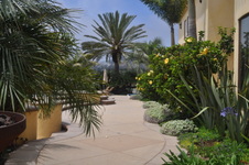 Enlarge photo 54