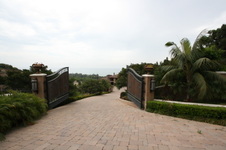 Enlarge photo 94