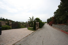 Enlarge photo 95