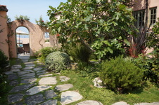 Enlarge photo 46