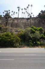 Enlarge photo 60