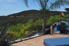 Enlarge photo 37
