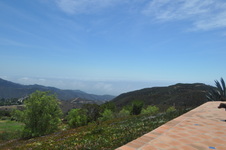 Enlarge photo 43