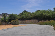 Enlarge photo 105