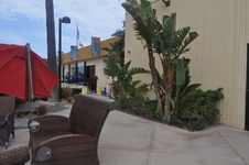 Enlarge photo 40
