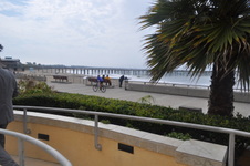 Enlarge photo 41