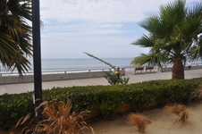 Enlarge photo 42