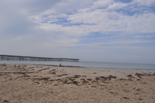 Enlarge photo 48