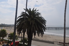 Enlarge photo 55