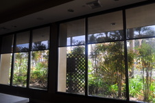 Enlarge photo 77
