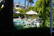 Enlarge photo 52