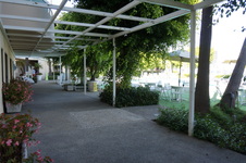 Enlarge photo 54
