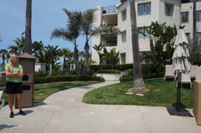 Enlarge photo 41