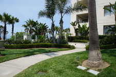 Enlarge photo 42