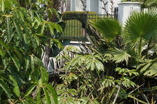Enlarge photo 46