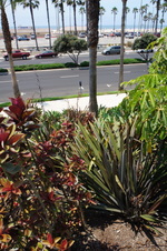 Enlarge photo 47
