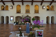 Enlarge photo 79
