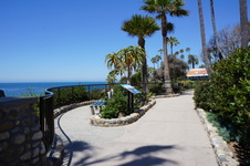 Enlarge photo 81