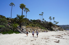 Enlarge photo 86
