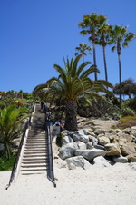 Enlarge photo 87