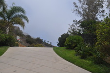 Enlarge photo 93