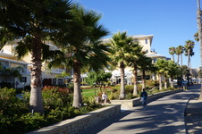 Enlarge photo 33