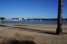 Enlarge photo 35