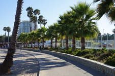 Enlarge photo 36