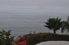 Enlarge photo 19