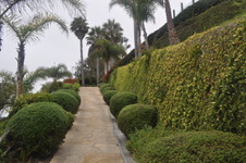 Enlarge photo 34