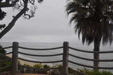 Enlarge photo 36