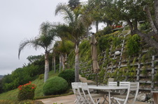 Enlarge photo 39