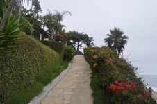 Enlarge photo 41