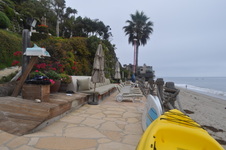 Enlarge photo 42