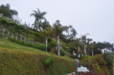 Enlarge photo 44