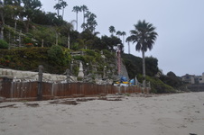 Enlarge photo 52
