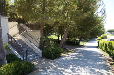 Enlarge photo 57