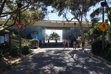 Enlarge photo 83