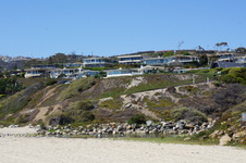 Enlarge photo 96