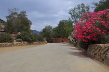 Enlarge photo 1