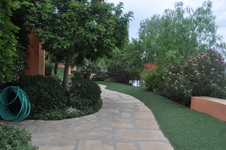 Enlarge photo 35