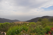 Enlarge photo 42