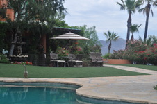 Enlarge photo 50
