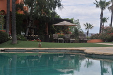 Enlarge photo 54
