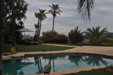 Enlarge photo 59